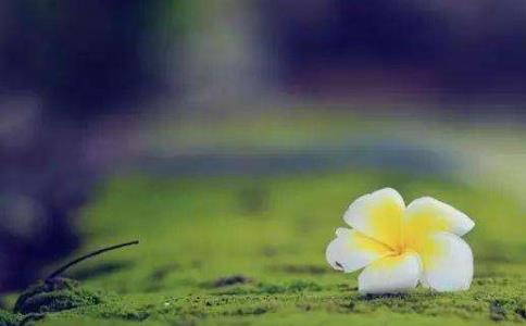 所做之惡留在身邊，所做之善回到身邊