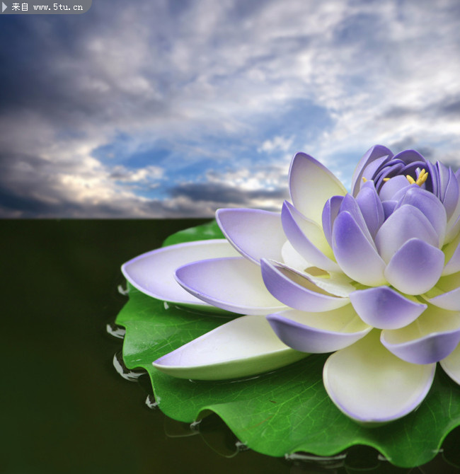 口業如山 聖沒一言