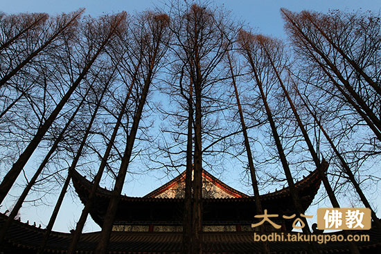 呻號是以何種因緣而得此果報?