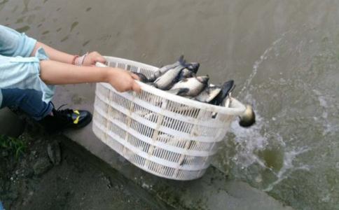 哪一種才是最好的放生之法？