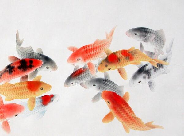 放生需務必知道的注意事項