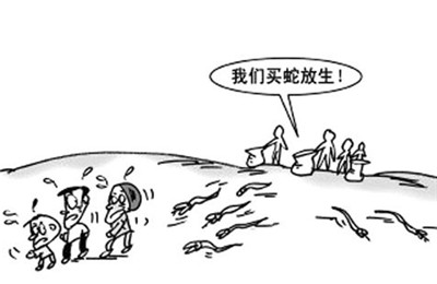 簡要講解如何放生及注意事項