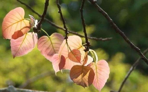 做事不能一根筋