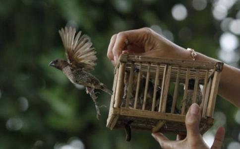 如何正確放生？放生的注意事項