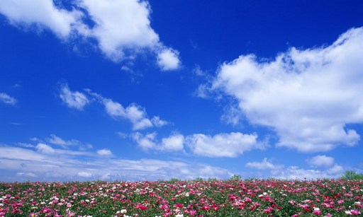 法藏法師：淺談天台宗的性格與價值