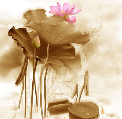 夢參老和尚講因果故事：供僧和殺生的果報