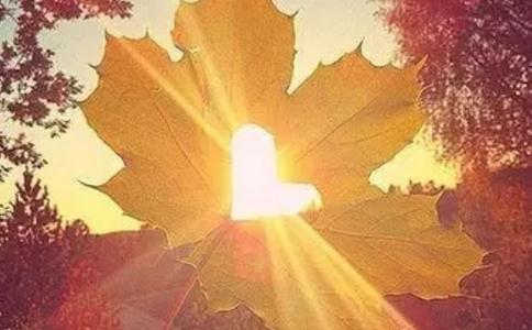 心靈有漏洞可以補嗎？