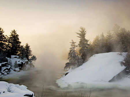 禪師巧勸吝婦，有舍才有得