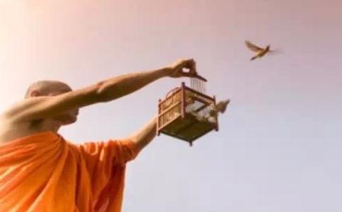 放生的心態一定要平和