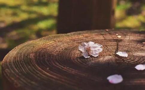 學佛後如何處理世間和出世間的關係？