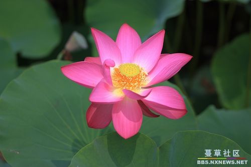 佛陀眼中的美女是這樣的