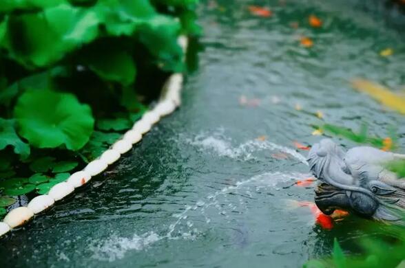 明憨大和尚：清凈的心無邊無際