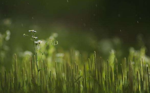 法晟法師出家感悟：不折騰的青春