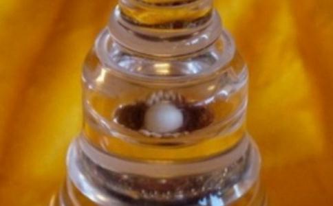 舍利子是真的嗎