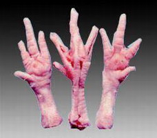 吃什麼補什麼？錯！吃什麼壞什麼！！！