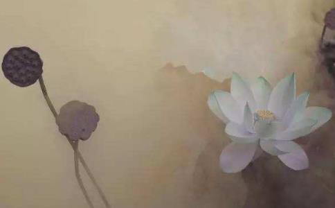 真的有來世、善惡業報等事嗎？