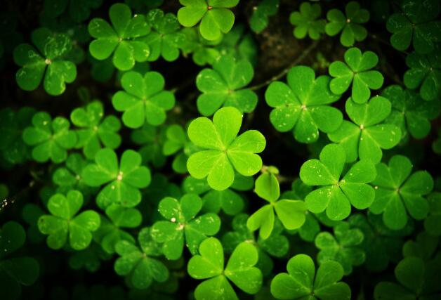 淺析生命的意義