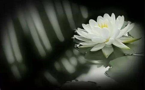 透過禪修，學會主宰情緒