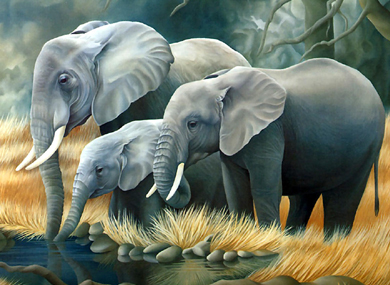 動物的人性光輝（2）