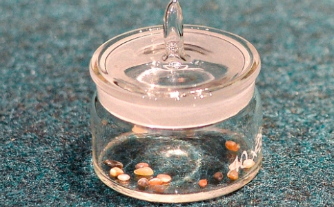 舍利是什麼物質構成的？是結石嗎？