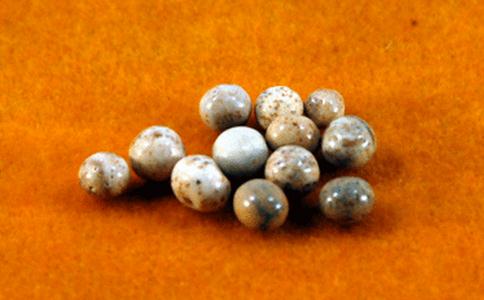 佛家的舍利究竟是什麼？舍利子是怎麼形成的？