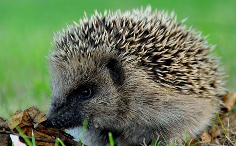 為生命讓路 對生命敬畏