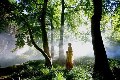 吳言生說禪：自家寶藏