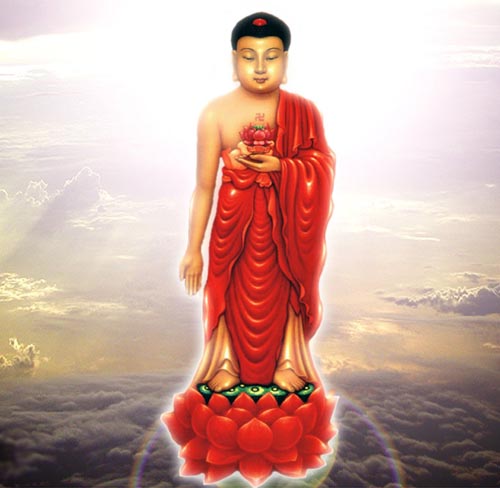 只以一夜的時間觀想憶念，便蒙阿彌陀佛接引