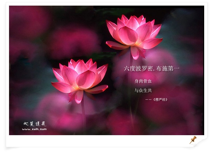 布施一條褲子的果報