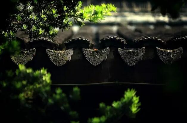 凈慧長老：禪宗所講的「明心見性」