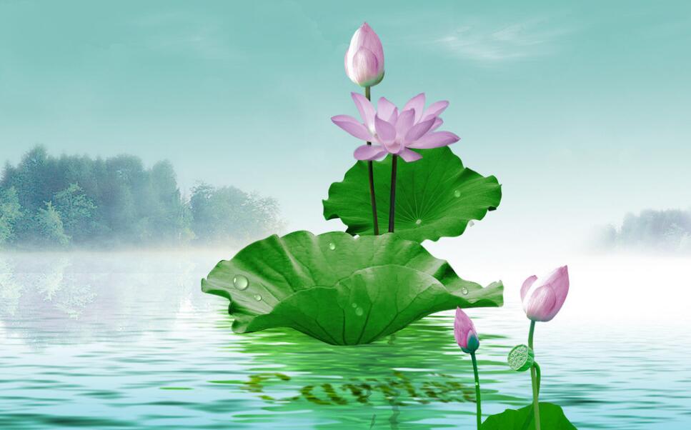 印光法師有關放生的開示