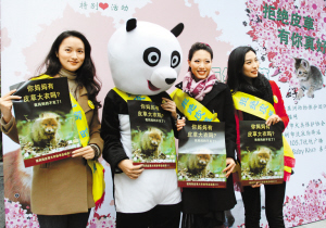 給動物愛的承諾在情人節