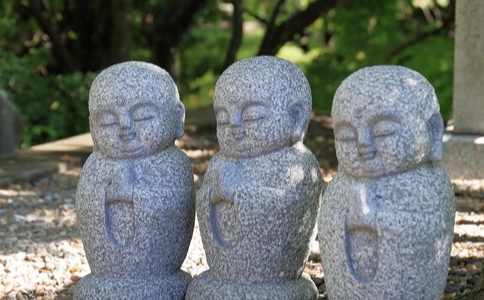 如何勸父母不殺生，學習佛法？