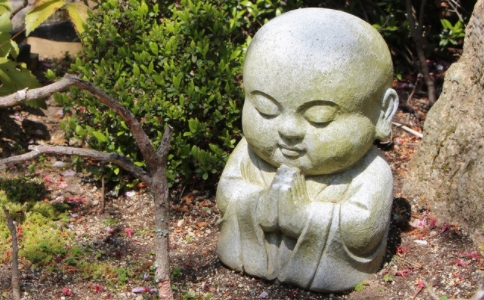 修學佛法，一定要認真學戒、懂戒、持戒