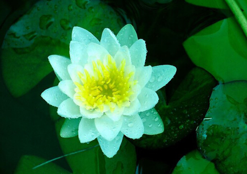 慾望被點燃煩惱就來了