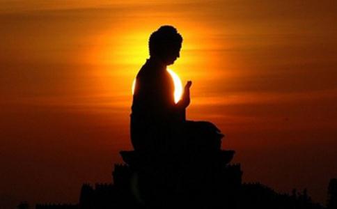 放生，喚醒了我們的佛性