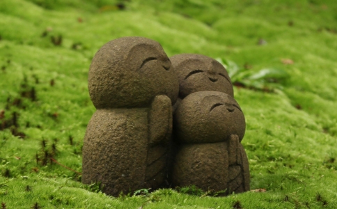 如何對待父母才是真正的孝？