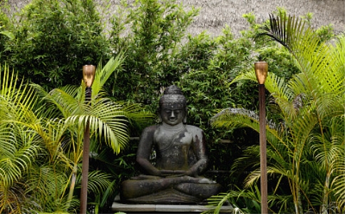 如何拜經？拜《無量壽經》的具體做法