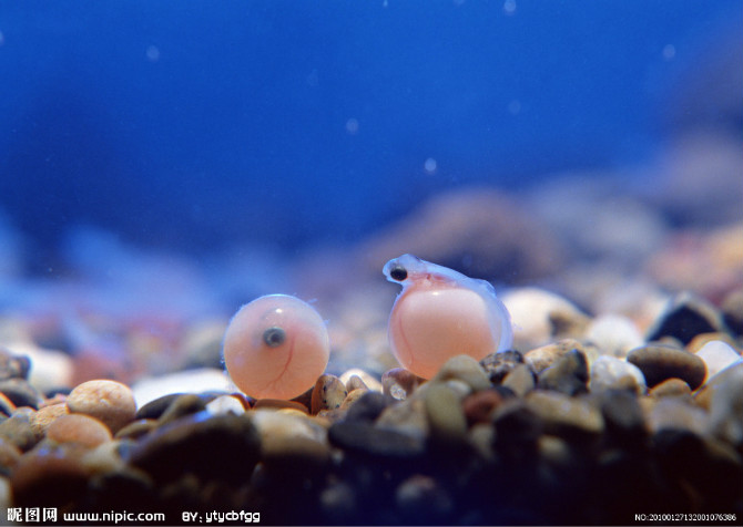 舉手之勞、救命無數、且很方便、心動要行動