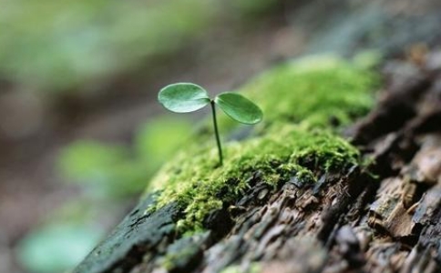 關於人生哲理的三個小故事