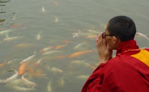 如何放生？放生有什麼好處？放生要念什麼？