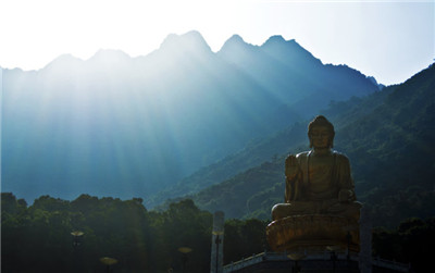 修凈土的人走哪條路才是捷徑