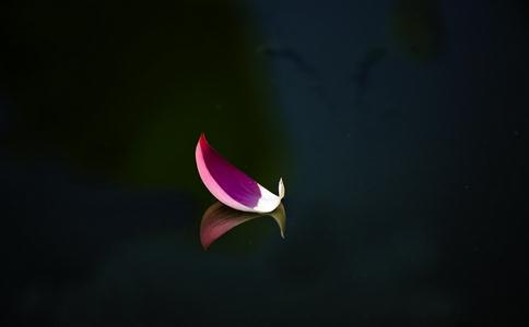 到底什麼是佛教說的「六度」？又是哪六度呢？