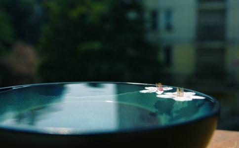 佛弟子應如何對待出軌的配偶？