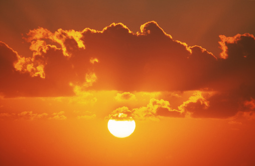 他的子孫能發達起來