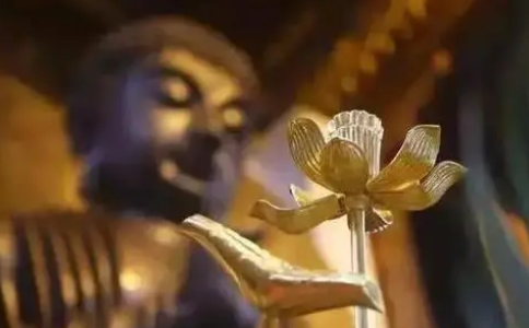 在逆境中悟到娑婆世界的苦和無常