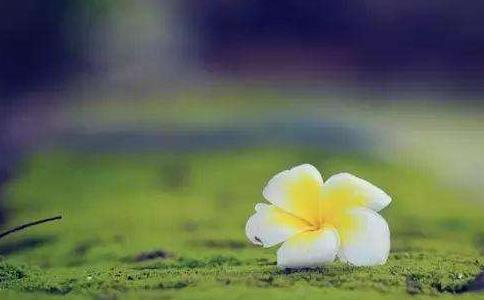 行善貴在隨緣布施，救命要救急