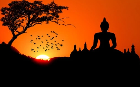 鴿王自救，貪欲是人性中致命的弱點