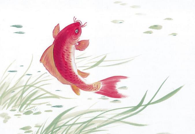 放生的發心及注意事項