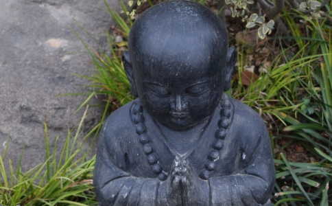 禪修者應如何對待身邊的惡人？